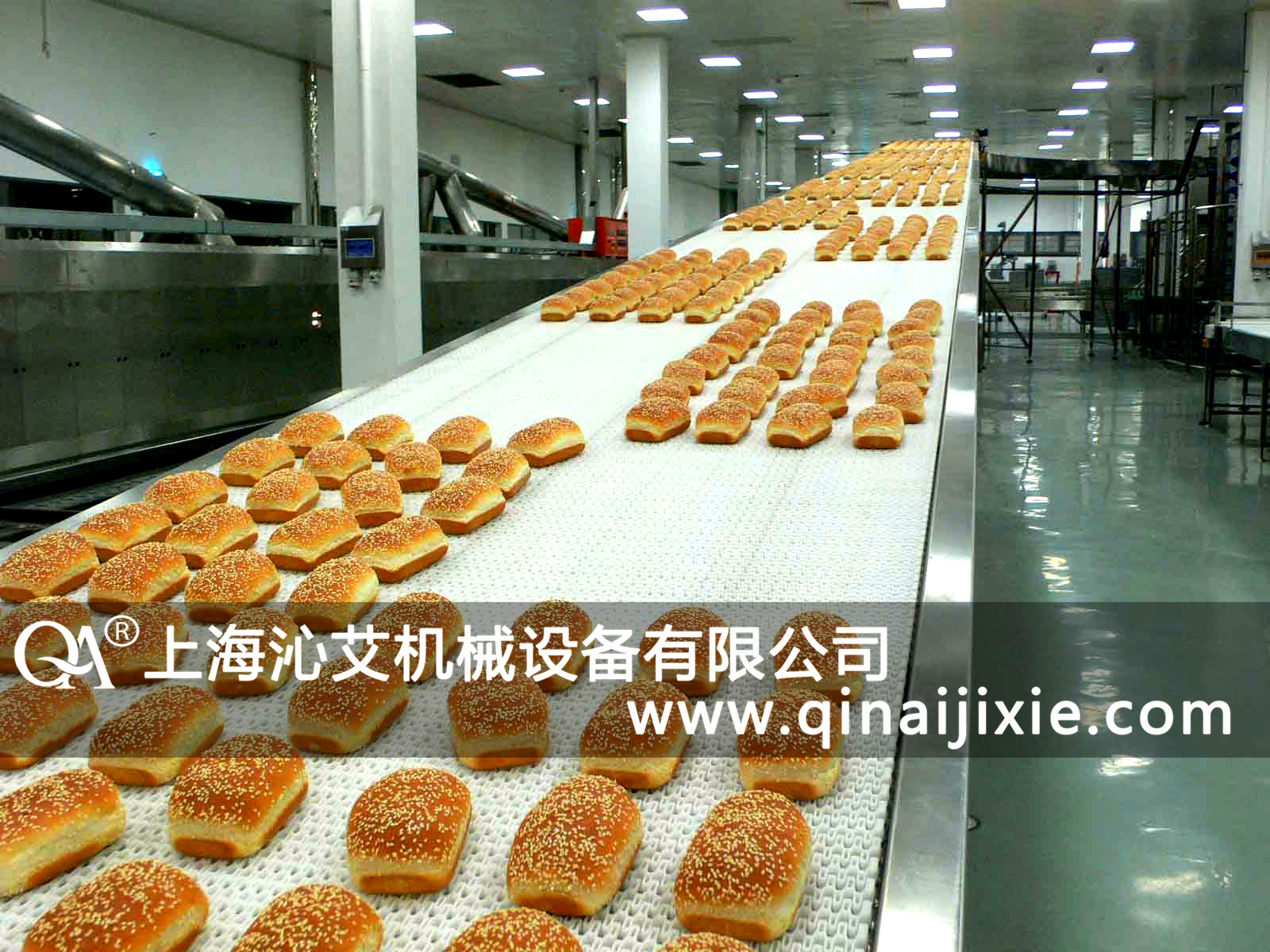 正确维护与保养食品网带输送机电机